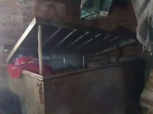 top-news
